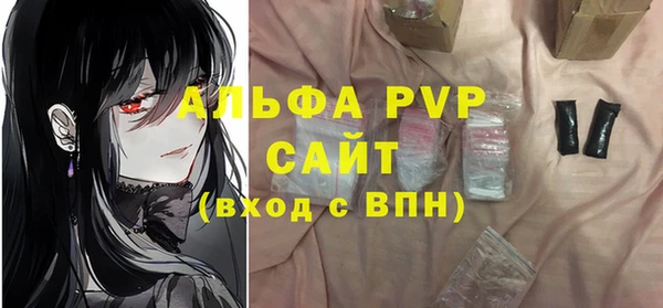 прущие грибы Каменск-Шахтинский