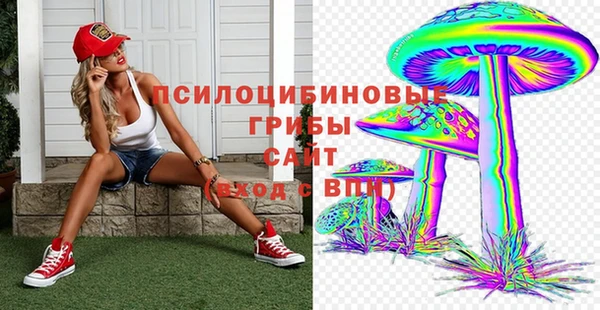 скорость Каменка