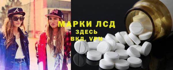 прущие грибы Каменск-Шахтинский