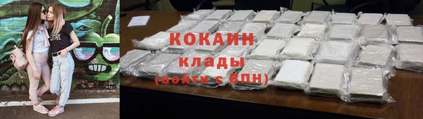 прущие грибы Каменск-Шахтинский