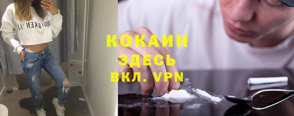 скорость Каменка
