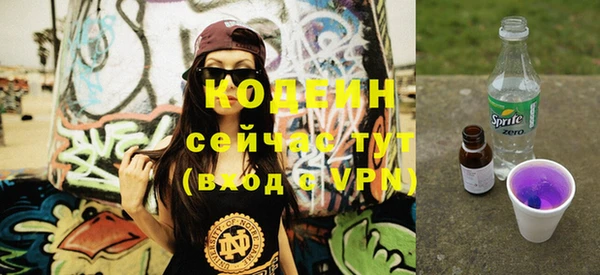 скорость Каменка