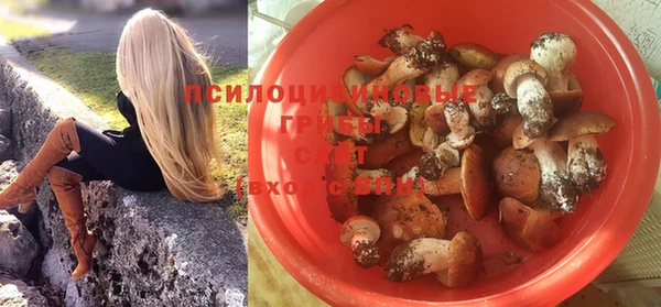 гидропоника Каменногорск