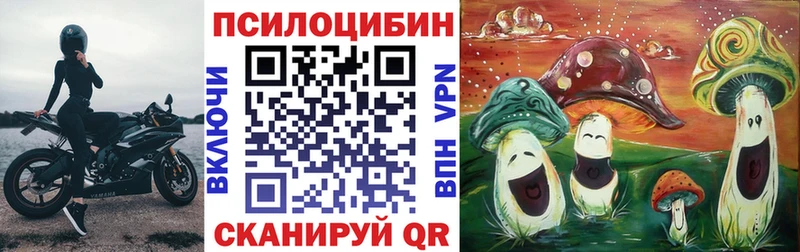 Псилоцибиновые грибы MAGIC MUSHROOMS  ОМГ ОМГ зеркало  Суздаль 